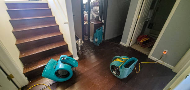 Best Flood restoration services  in Bethalto, IL