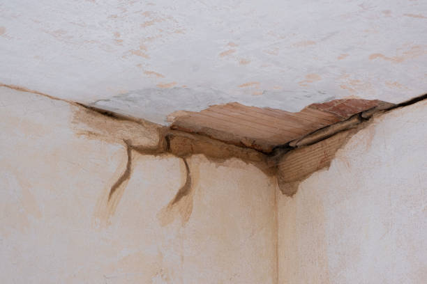Best Emergency water damage restoration  in Bethalto, IL