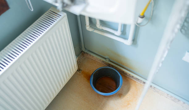 Best 24/7 water damage repair  in Bethalto, IL