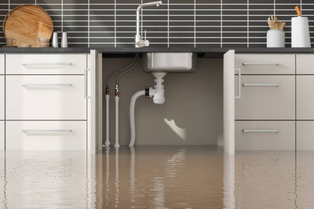 Best Commercial water damage restoration  in Bethalto, IL