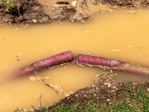 Reliable Bethalto, IL Water damage restoration Solutions