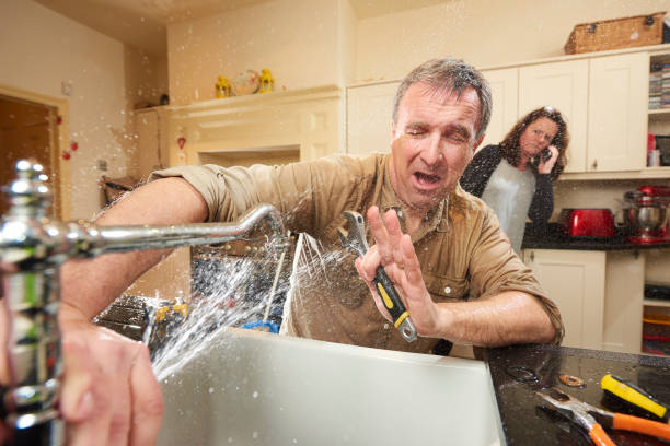 Best Flooded house restoration  in Bethalto, IL